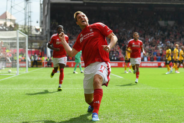 证了特朗普 证了特朗普